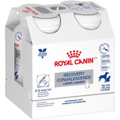 royal canin recovery liquid cat